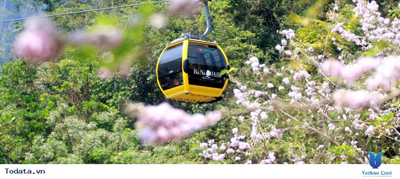 Đà Nẵng 4 Ngày Tết Âm Lịch - Ảnh 2